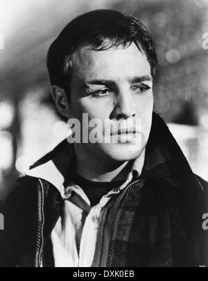 Sul lungomare (US1954) Marlon Brando come TERRY MALLOY Foto Stock