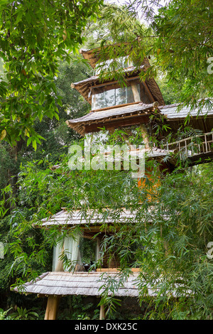 Gli alberi di bambù intorno alla pagoda Balinese, Ubud, Bali, Indonesia Foto Stock