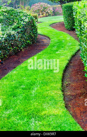 Avvolgimento percorso di erba in giardino paesaggistico Foto Stock