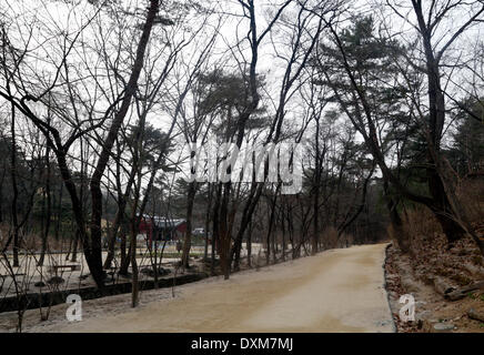 Seoul, Corea del Sud. Il 27 marzo 2014. Un sentiero attraverso la foresta è visto in Jeongneung tomba reale, Seoul, Corea del Sud, giovedì 27 marzo 2014. La tomba reale è la tomba della regina consorte Sindeok, la seconda moglie di Re Taejo, fondatore della dinastia Joseon (1392-1910) ed è stato registrato come uno del Patrimonio Mondiale UNESCO nel giugno 2009, secondo il patrimonio culturale Amministrazione della Corea del Sud. Foto Stock