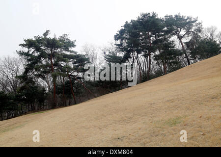 Seoul, Corea del Sud. Il 27 marzo 2014. Gli alberi sono visti su un sentiero in salita fino a Jeongneung tomba reale, Seoul, Corea del Sud, giovedì 27 marzo 2014. La tomba reale è la tomba della regina consorte Sindeok, la seconda moglie di Re Taejo, fondatore della dinastia Joseon (1392-1910) ed è stato registrato come uno del Patrimonio Mondiale UNESCO nel giugno 2009, secondo il patrimonio culturale Amministrazione della Corea del Sud. Foto Stock