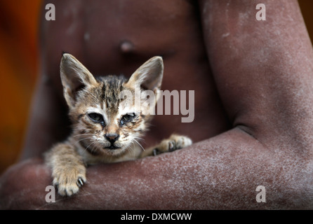 India, Uttar Pradesh, Varanasi, gattino nel braccio di un Sadhu Foto Stock