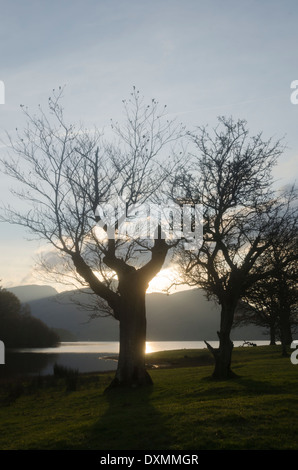 Sun bassa inverno sera scena sulle rive del Derwent Water, Lake District, Cumbria, Inghilterra Foto Stock