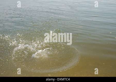 Schizzi di acqua come roccia urta il fiume Foto Stock