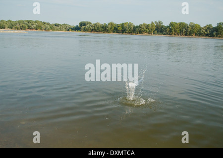 Schizzi di acqua come roccia urta il fiume Foto Stock