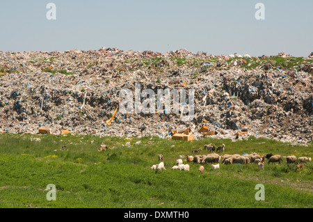 Europa/Asia, la Turchia, discarica al di fuori della città accanto alla E80 autostrada Foto Stock