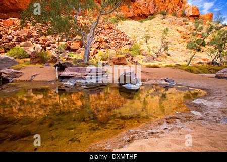 Simpson Gap West MacDonnell Ranges Australia centrale di Territorio del Nord Foto Stock