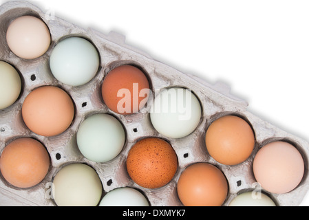 Assortimento di diverso colore, freschi, uova di pollo in un vassoio grigio, isolato su bianco Foto Stock