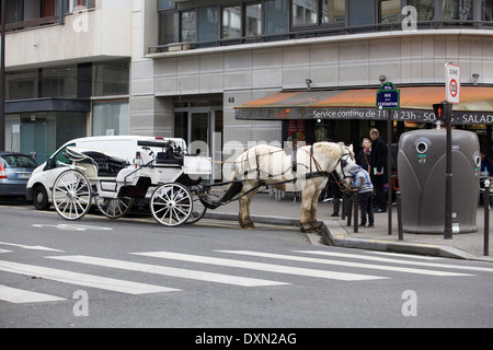 Giovane ragazza baciare un cavallo parcheggiato fino a un café di Parigi Francia Foto Stock