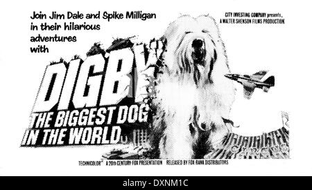 DIGBY, il cane PIÙ GRANDE DEL MONDO Foto Stock