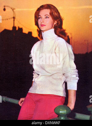 SHIRLEY ANNE FIELD Foto Stock