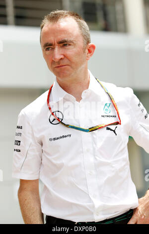 Motorsports: FIA Formula One World Championship 2014, il Gran Premio della Malesia, Paddy Lowe (GBR, Mercedes AMG Petronas Team di F1), Foto Stock