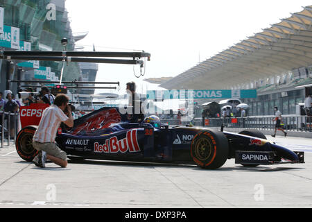 Motorsports: FIA Formula One World Championship 2014, il Gran Premio della Malesia, #25 Jean-Eric Vergne (FRA, la Scuderia Toro Rosso), Foto Stock