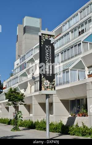 Il Brunswick centro nel quartiere di Bloomsbury, Londra, Regno Unito. Foto Stock