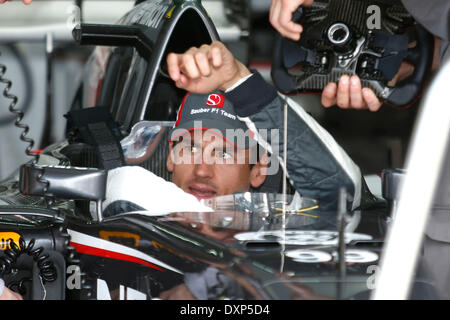Motorsports: FIA Formula One World Championship 2014, il Gran Premio della Malesia, #99 Adrian Sutil (GER, Sauber F1 Team), Foto Stock