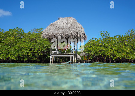 Capanna con il tetto di paglia su acqua con amaca visto dalla superficie dell'acqua con alberi di mangrovia e un pesce salta fuori dell'acqua Foto Stock