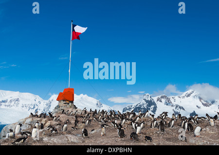 Base cilena González Videla Antartide bandiera pinguini Foto Stock