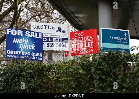 Agente immobiliare per la vendita e a lasciare schede, Scotland, Regno Unito Foto Stock