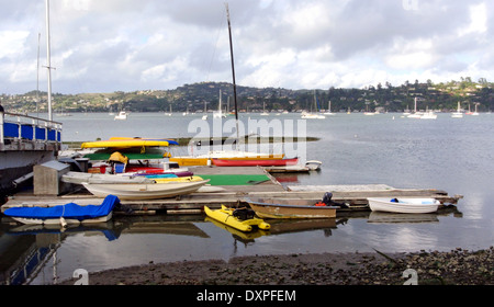 Kayaks colorati e piacere ormeggiato a yacht club in Sausalito Foto Stock