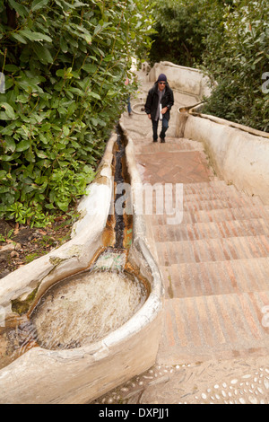 La scalinata d'acqua, giardini di Generalife, Alhambra Palace, Granada Andalusia Spagna Europa Foto Stock