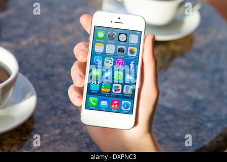 IOS 7 nella schermata iniziale del bianco Apple iPhone 5 in un cafe Foto Stock