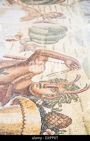 Roman mosaico in Cartagine Museo Nazionale, Tunisi, Tunisia Foto Stock