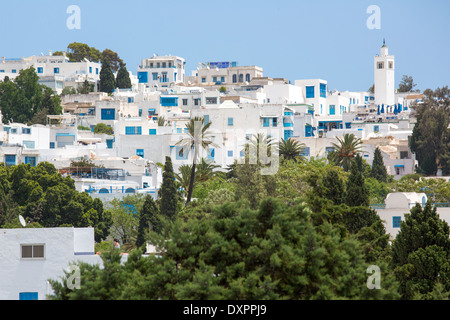 Sidi Bou Said, Tunisia Foto Stock