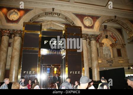 Las Vegas, NV, Stati Uniti d'America. 28 Mar, 2014. Atmosfera presso gli arrivi per FIZZ Las Vegas Grand Opening, FIZZ Las Vegas, Las Vegas NV, Marzo 28, 2014. Credito: James Atoa/Everett raccolta/Alamy Live News Foto Stock