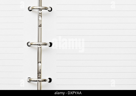Due pagina vuota sul diario con anello metallico Foto Stock