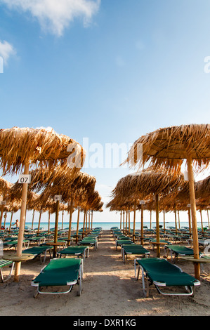 Ombrelloni e lettini sulla spiaggia di Elafonissi, Creta, Grecia Foto Stock