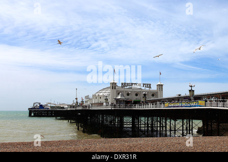 Alba colori sopra la Brighton Palace Pier, città di Brighton e Brighton & Hove, Sussex County, England, Regno Unito Foto Stock