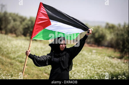 La striscia di Gaza, Territori palestinesi. 29 Mar, 2014. Un agricoltore palestinese partecipa in una coltivazione di olivi durante un rally Terra di marcatura giorno a Gaza il 29 marzo 2014. Le manifestazioni annuali di contrassegnare la morte di sei Israeliani arabi manifestanti per mano della polizia israeliana e truppe durante le proteste di massa nel 1976 contro i piani di confiscare terra araba nel nord della regione della Galilea. © Majdi Fathi/NurPhoto/ZUMAPRESS.com/Alamy Live News Foto Stock