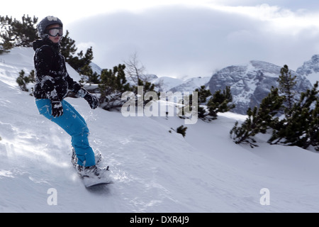Krippenbrunn, Austria, un ragazzo lo snowboard Foto Stock