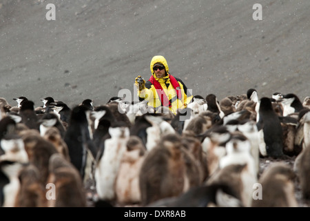 Turismo antartico e pinguini tra l'antartide paesaggio. Turistica prendendo foto con GoPro Camera. Foto Stock