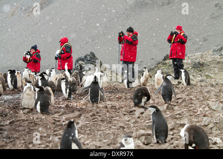 L'Antartide turismo, dei turisti e dei Pinguini Pinguini, tra l'antartide paesaggio. Foto Stock