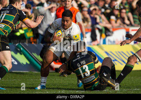 Northampton, Regno Unito. 29 Mar, 2014. Manu TUILAGI di Leicester Tigers è affrontato da George PISI di Northampton Santi durante la Aviva Premiership match tra santi di Northampton e Leicester Tigers in Franklin's Gardens. Punteggio finale: Northampton Santi 16-22 Leicester Tigers. Credito: Azione Sport Plus/Alamy Live News Foto Stock