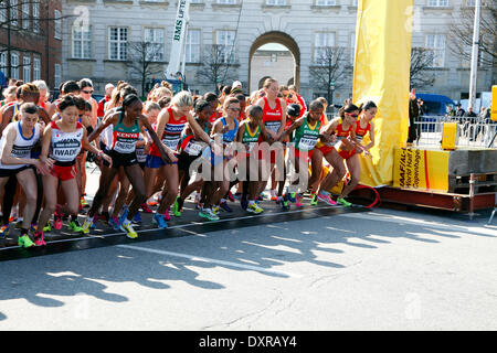 Copenhagen, Danimarca, 29 marzo, 2014. Guide di scorrimento in la IAAF/AL-Bank World Half Marathon Championships 2014 correva per le strade di sunny Copenhagen con inizio e fine presso il Palazzo Christiansborg Square. L'elite donne e uomini sono stati seguiti da quasi 30.000 ricreativo e sub-elite guide. L'inizio della donna classe elite. Credito: Niels Quist/Alamy Live News Foto Stock