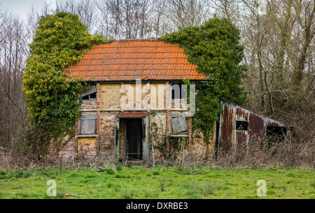 Cottage in rovina nel Somerset, Inghilterra, Regno Unito Foto Stock