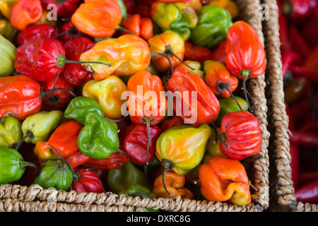 Scotch cofani, peperoncino in vendita presso il Mercato di Portobello, Portobello Road a Notting Hill, Londra, Inghilterra, Regno Unito Foto Stock