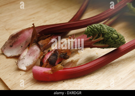 Gli stocchi di rabarbaro sul tagliere Rheum rhabarbarum Foto Stock