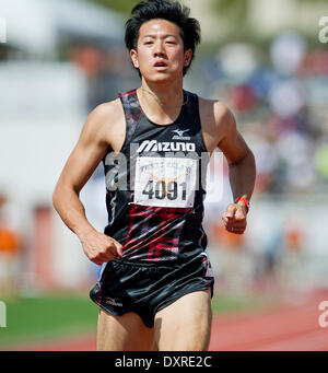 Austin, Texas, Stati Uniti d'America. 29 Mar, 2014. Marzo 29, 2014: Uomini 100 metro Dash al 87th Clyde Littlefield Texas i relè a Mike Myers A. Stadium, Austin, Texas. Credito: csm/Alamy Live News Foto Stock