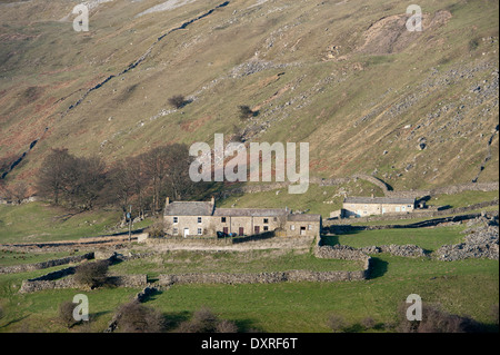 Tradizionale hill farm in Arkengartdale nel Yorkshire Dales Foto Stock