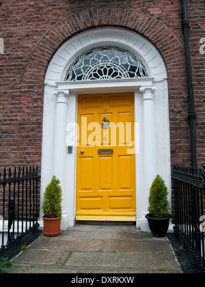 Una vecchia porta georgiano di Dublino Foto Stock