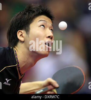 Magdeburg, Germania. 30 Mar, 2014. Il giocatore giapponese Jun Mizutanio gioca contro il giocatore tedesco Mengel durante il German Open al Getec arena a Magdeburgo (Germania), 30 marzo 2014. Foto: Jens Wolf/dpa/Alamy Live News Foto Stock