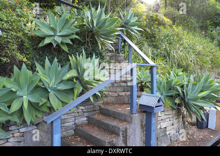 I passaggi di ingresso a una proprietà su Sydney spiagge del nord Foto Stock