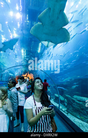 Una donna di scattare una foto di uno squalo nel tunnel, Dubai Aquarium, centro commerciale di Dubai, Dubai EMIRATI ARABI UNITI, Emirati Arabi Uniti Medio Oriente Foto Stock