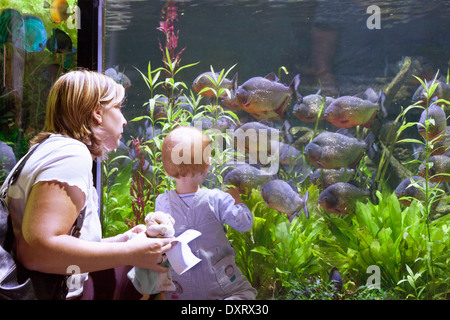 Un bambino e la madre guardando i pesci, Dubai Aquarium e lo zoo di Subacquea, centro commerciale di Dubai, Dubai EMIRATI ARABI UNITI, Emirati Arabi Uniti Foto Stock