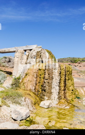 Waterwheel calcificata a Cape Leeuwin, vicino a Augusta, Australia occidentale Foto Stock