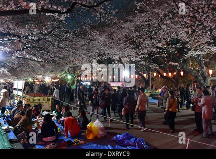 Tokyo, Giappone. 29 Mar, 2014. I festaioli hanno le loro feste sotto la fioritura dei ciliegi quasi pieno fiore a tarda notte a Tokio il parco Ueno, uno dei migliori punti per la fioritura dei ciliegi la visualizzazione nell'area metropolitana, sabato 29 marzo, 2014. Decine di migliaia di persone si è rivelato per visualizzare la fioritura dei ciliegi, Giappone svago nazionale che risale al X secolo. Credito: Natsuki Sakai/AFLO/Alamy Live News Foto Stock