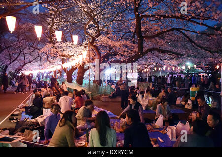 Tokyo, Giappone. 29 Mar, 2014. I festaioli hanno le loro feste sotto la fioritura dei ciliegi quasi pieno fiore a tarda notte a Tokio il parco Ueno, uno dei migliori punti per la fioritura dei ciliegi la visualizzazione nell'area metropolitana, sabato 29 marzo, 2014. Decine di migliaia di persone si è rivelato per visualizzare la fioritura dei ciliegi, Giappone svago nazionale che risale al X secolo. Credito: Natsuki Sakai/AFLO/Alamy Live News Foto Stock